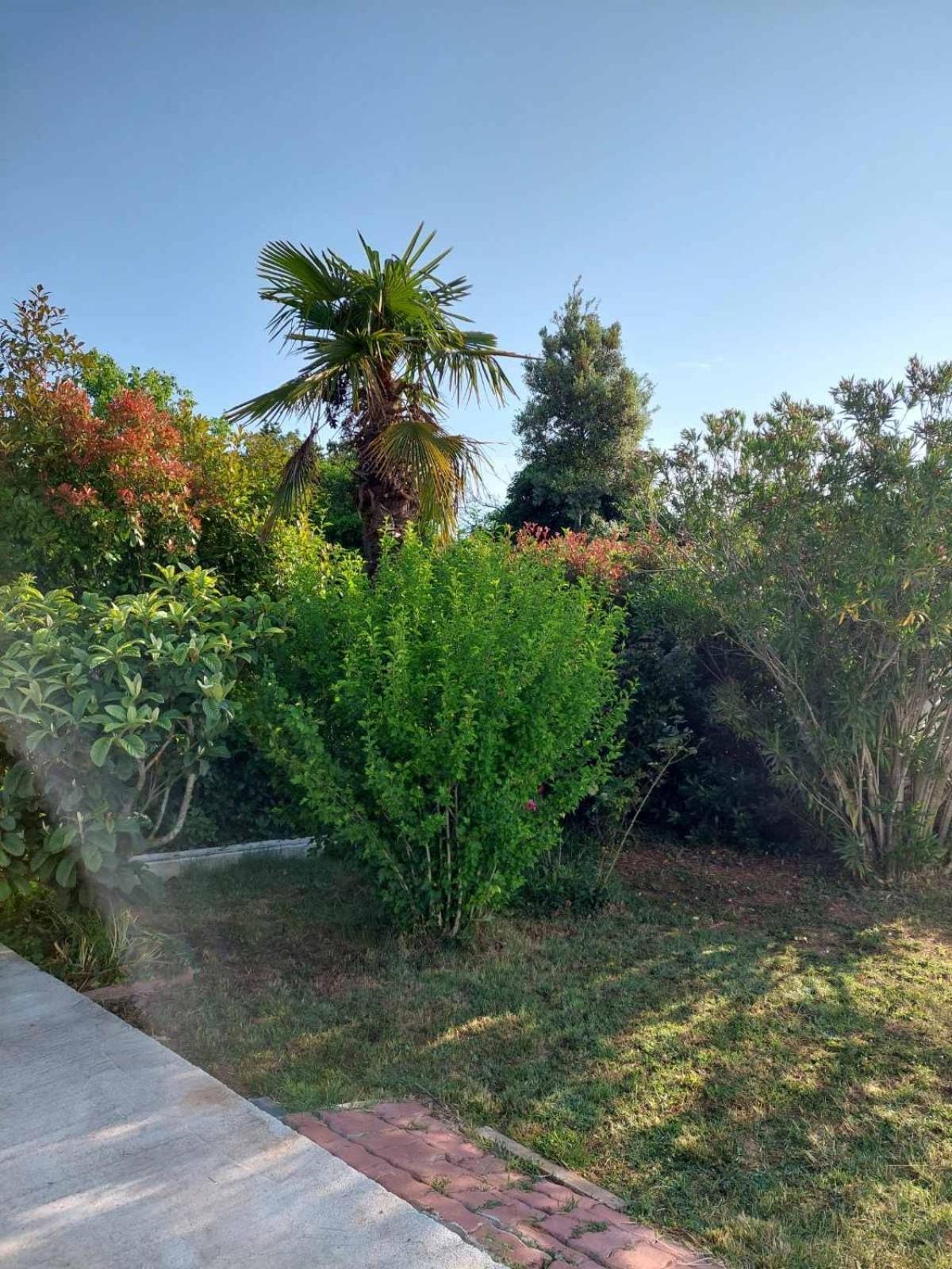 Soline Ada Διαμέρισμα Pjescana Uvala Εξωτερικό φωτογραφία